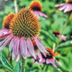 Blume3 HDR