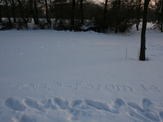 eosD-Forum.de im Schnee