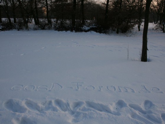 eosD-Forum.de im Schnee