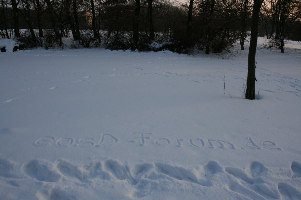 eosD-Forum.de im Schnee