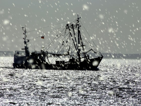 Fischkutter vor Norderney im Regen