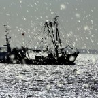 Fischkutter vor Norderney im Regen