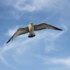 IMG_1047