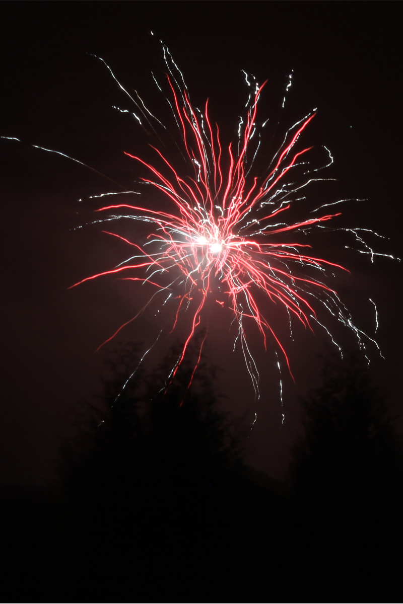 Silvester