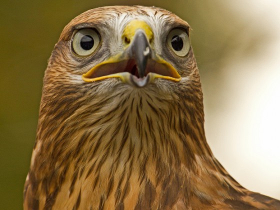 Tierpark Hellabrunn