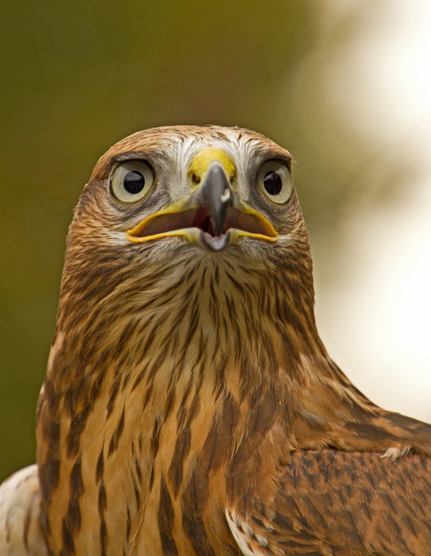 Tierpark Hellabrunn