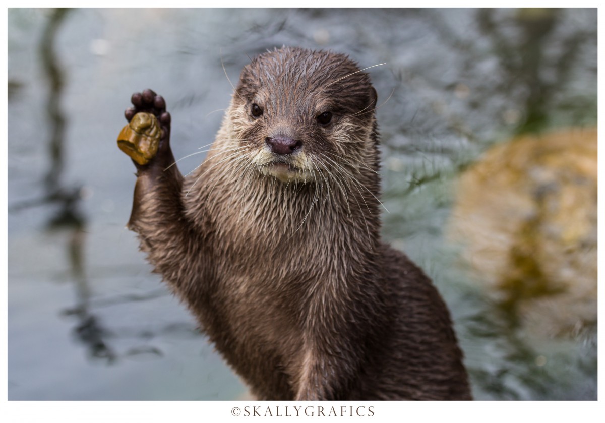 Karlsruher Zoo 16.03.2014