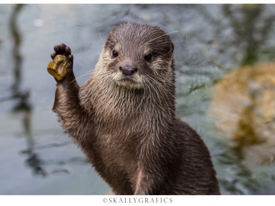 Karlsruher Zoo 16.03.2014