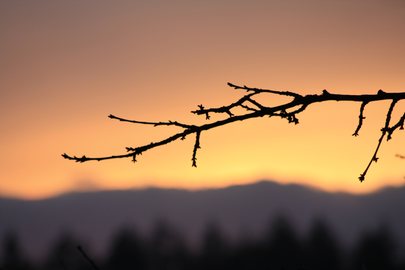 Abendrot