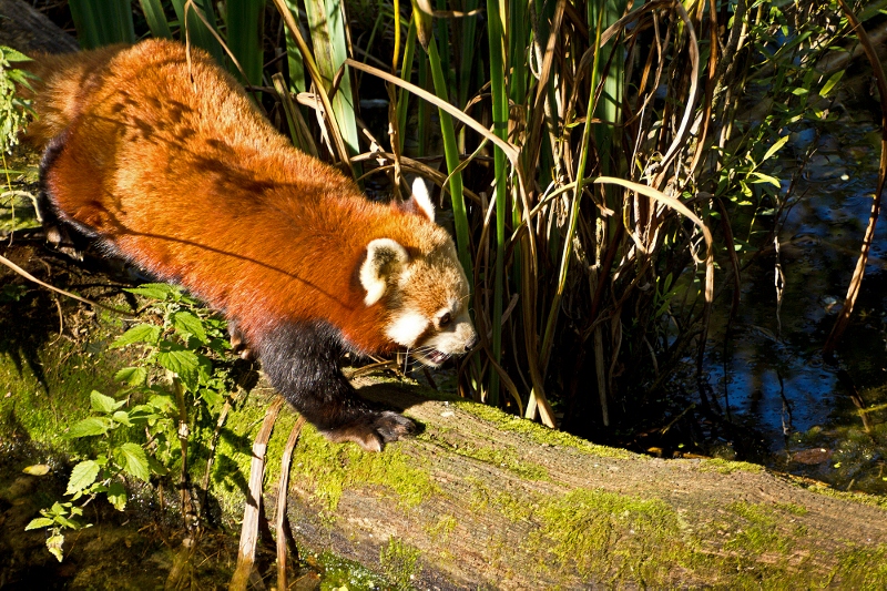 Tierpark Hellabrunn