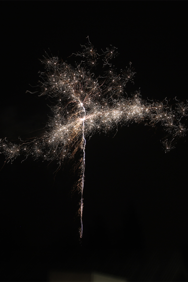 Silvester