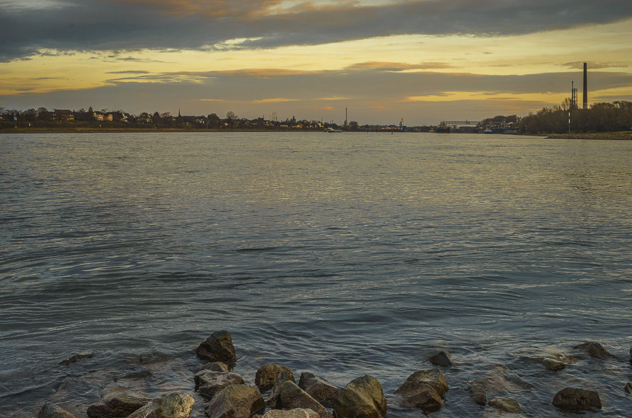 Der Rhein in Wesseling