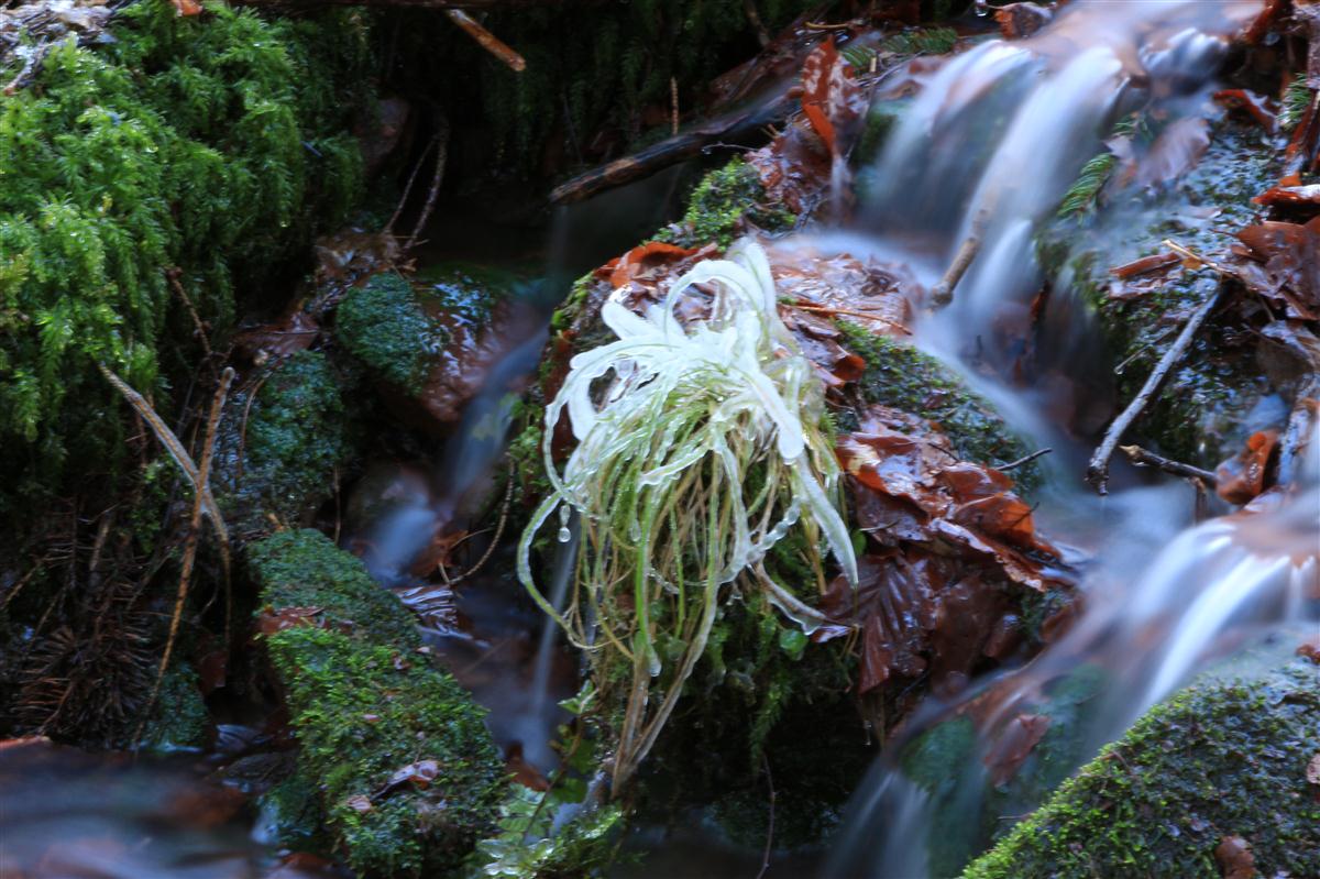 Amorbach Winter_2013-02-11
