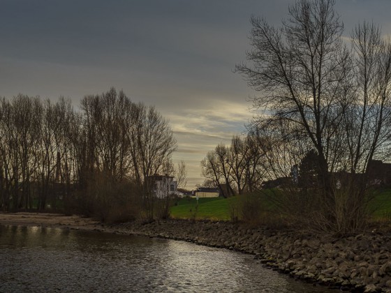 Der Rhein in Wesseling