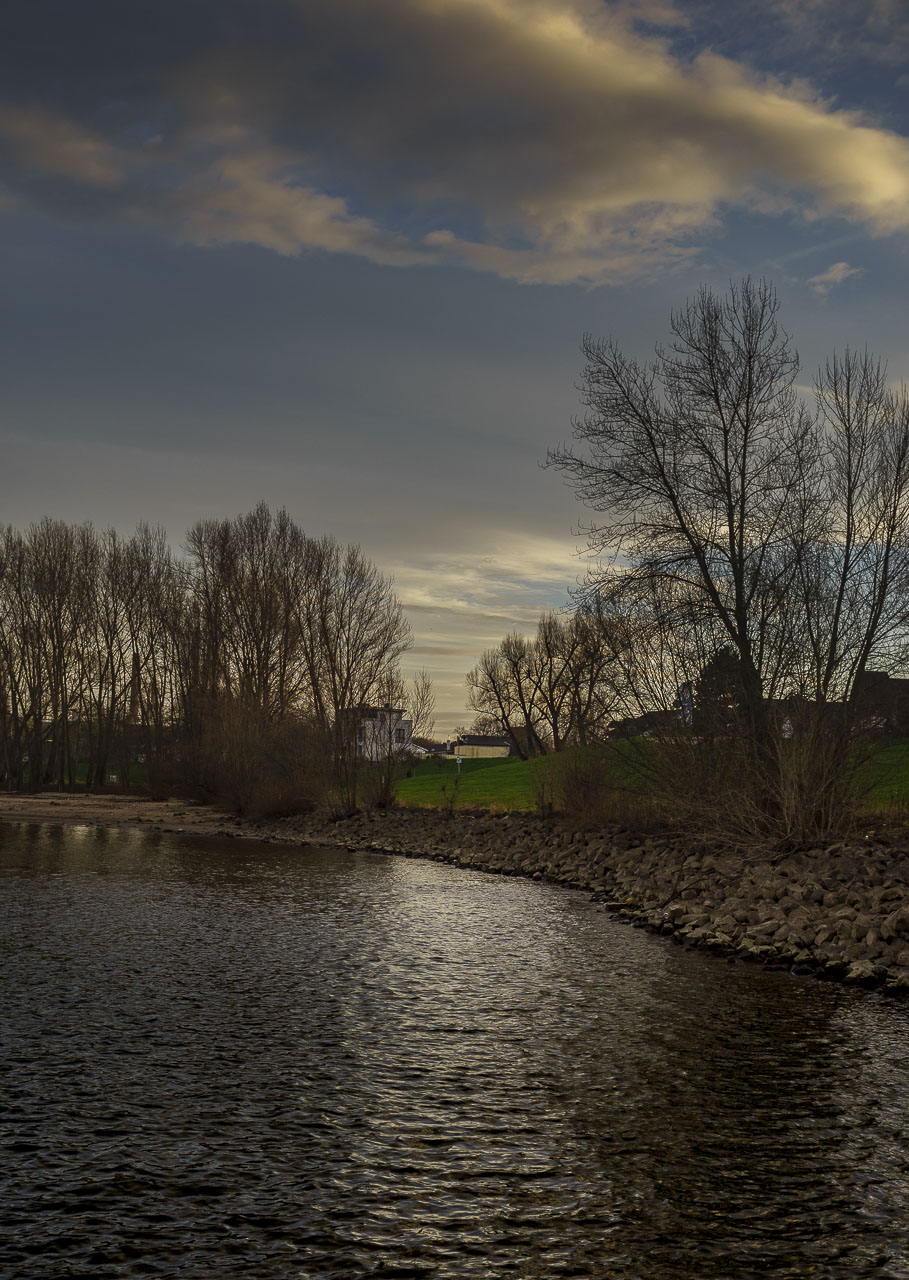 Der Rhein in Wesseling