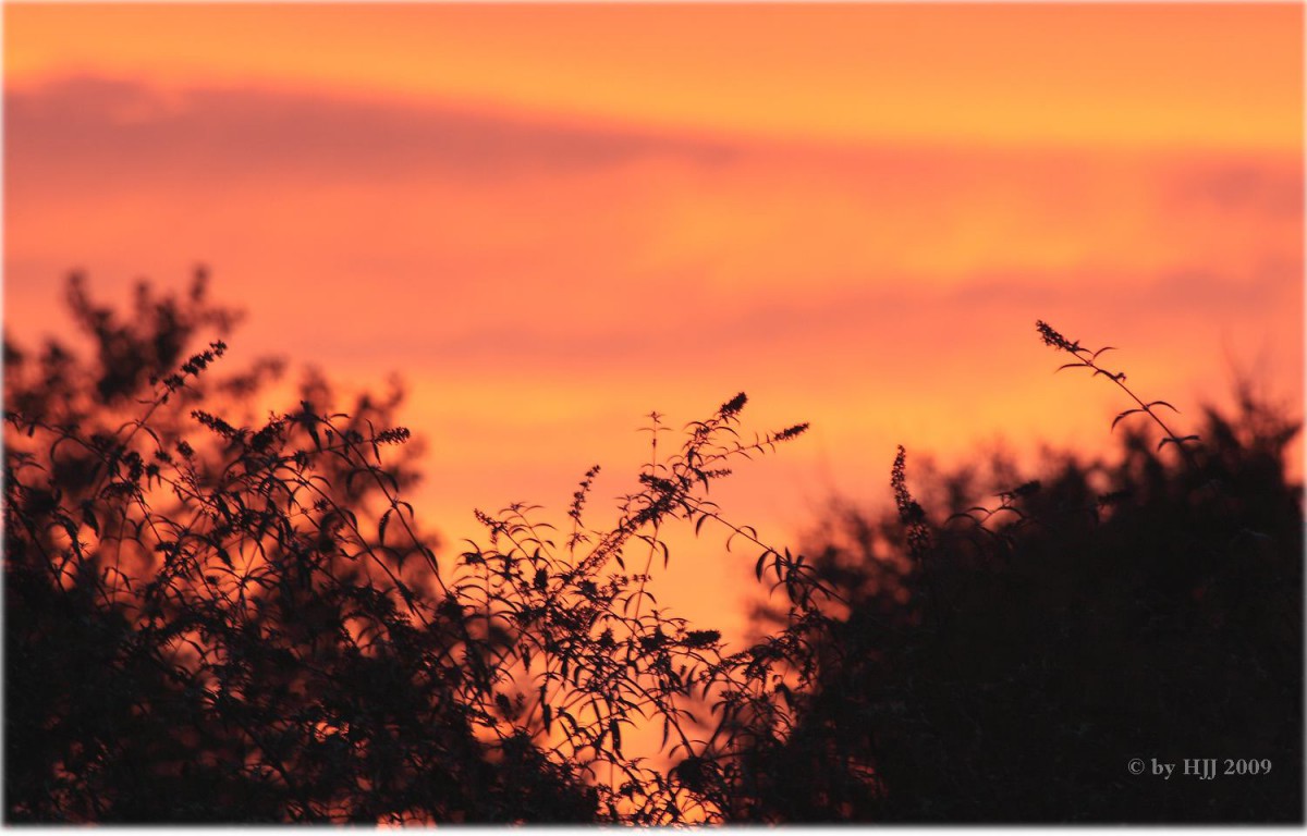 Morgenrot
