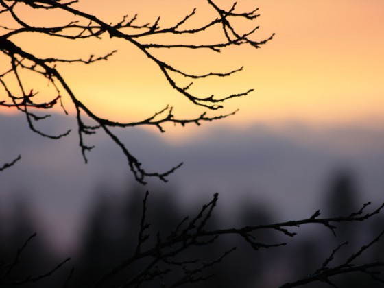Abendsonne