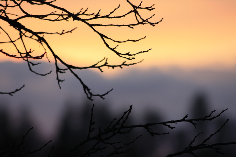 Abendsonne