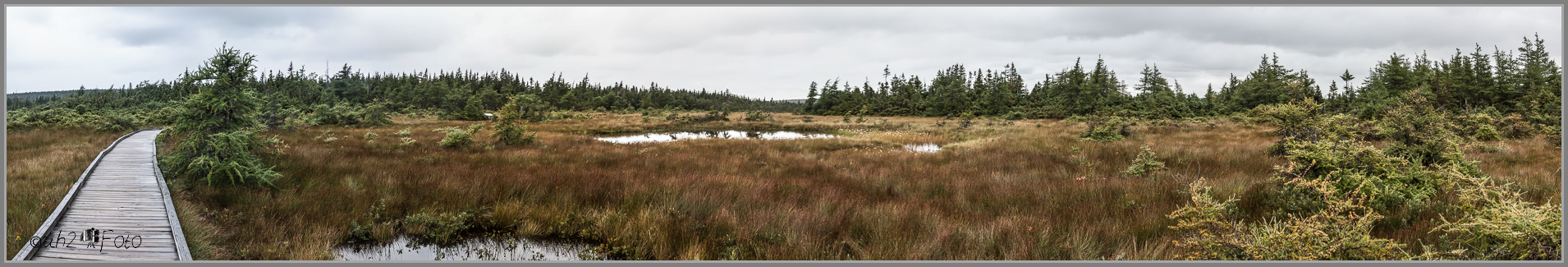 Cape Breton Hochmoor