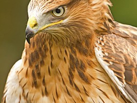 Tierpark Hellabrunn