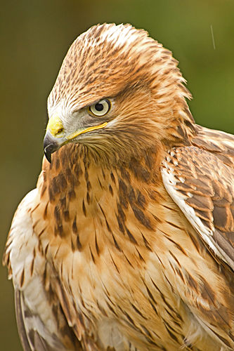 Tierpark Hellabrunn