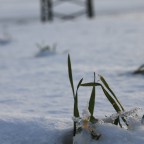 IMG_2653