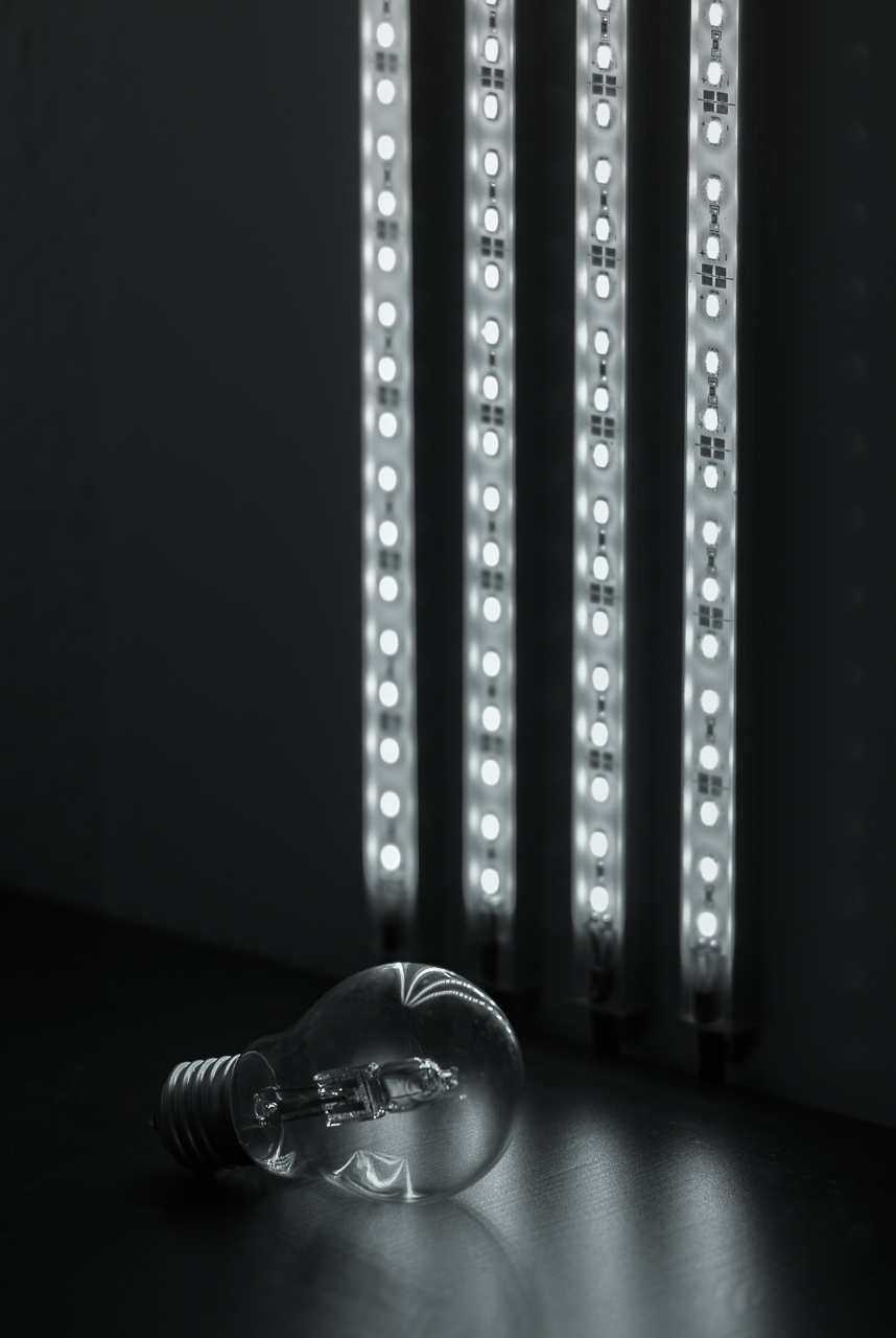 Light´s