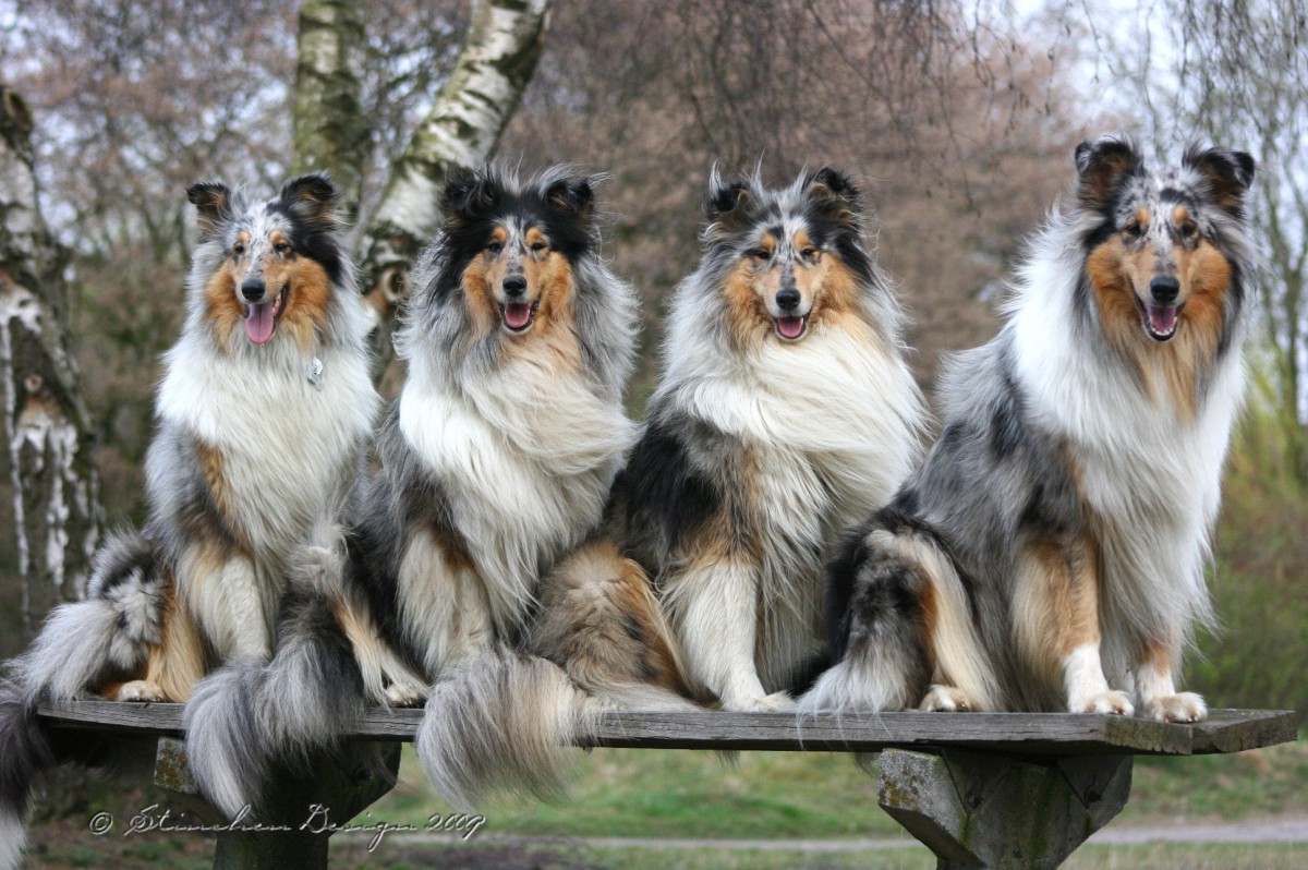 Aminah and Freunde am See...