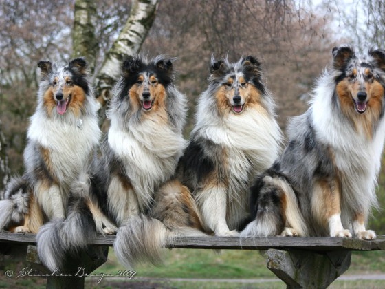 Aminah and Freunde am See...