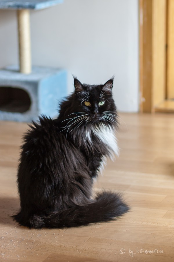 Unsere Cleopatra
