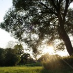 DR-IMG_5576