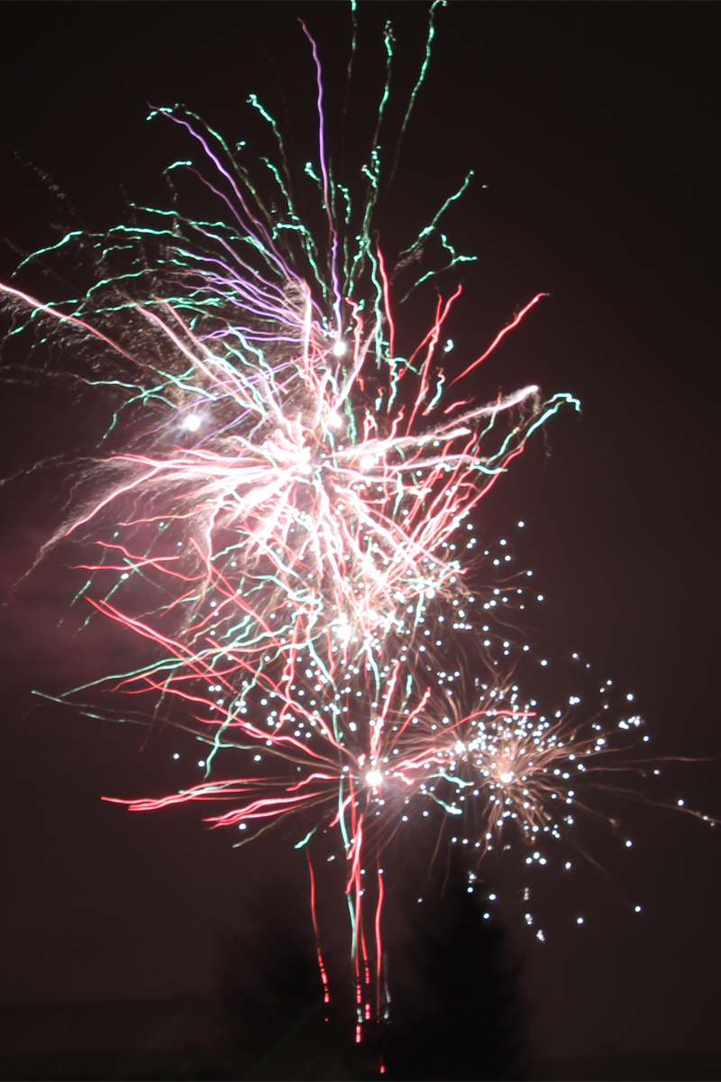 Silvester