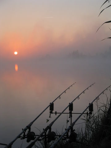 Morgenstimmung