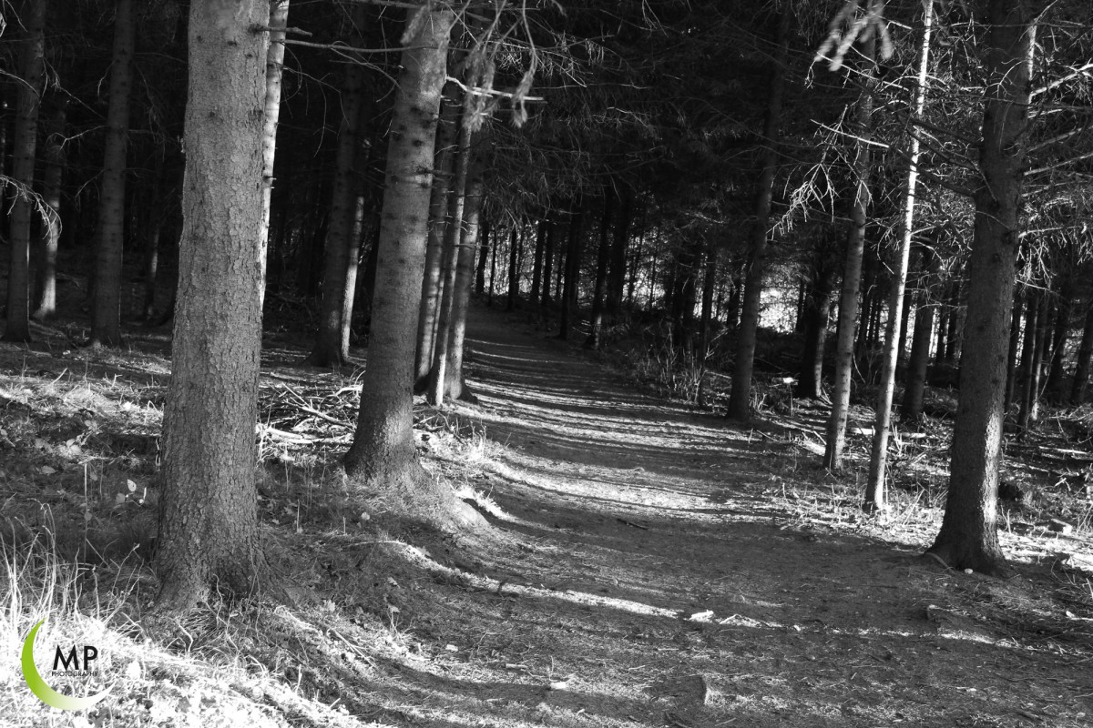 WALD