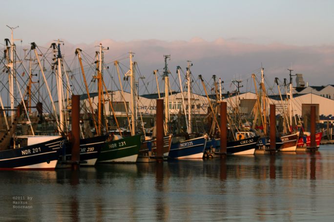 Kutter im Hafen