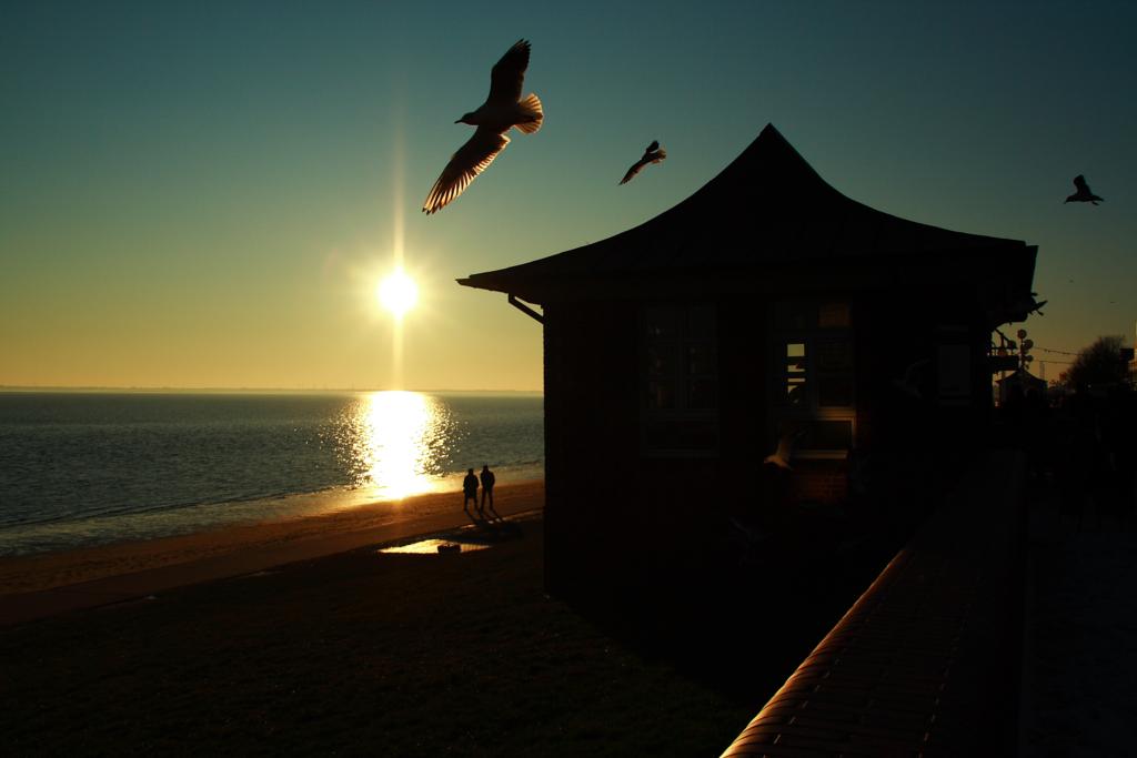 05 Südstrand WHV Jan 2009