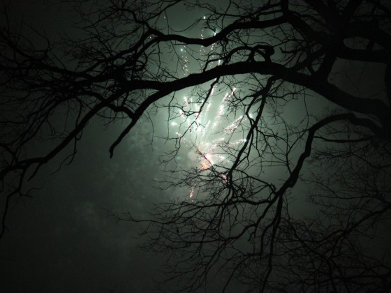 Feuerwerk 2011