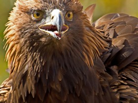 Tierpark Hellabrunn