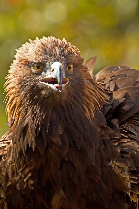 Tierpark Hellabrunn