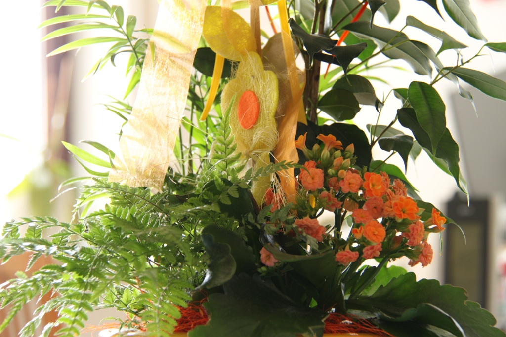 Unsere Tischblume