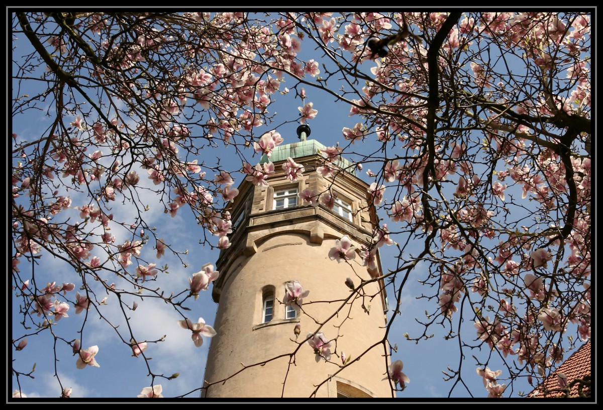 Wasserschloss Ulenburg im Frühjahr 2010