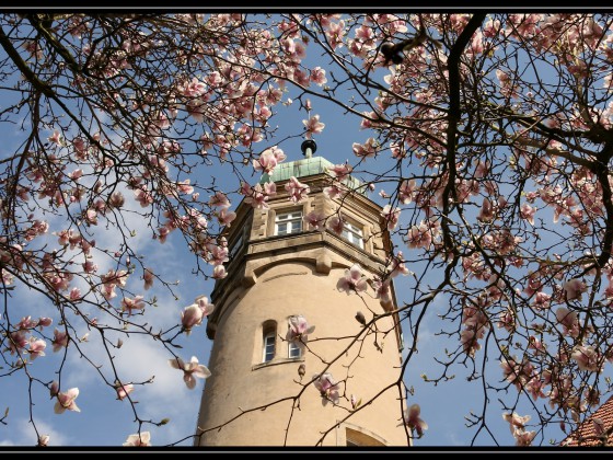 Wasserschloss Ulenburg im Frühjahr 2010