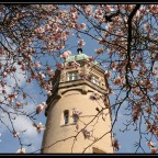 Wasserschloss Ulenburg im Frühjahr 2010