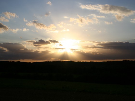 bild0001