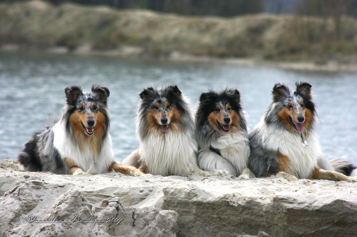 Aminah and Freunde am See...