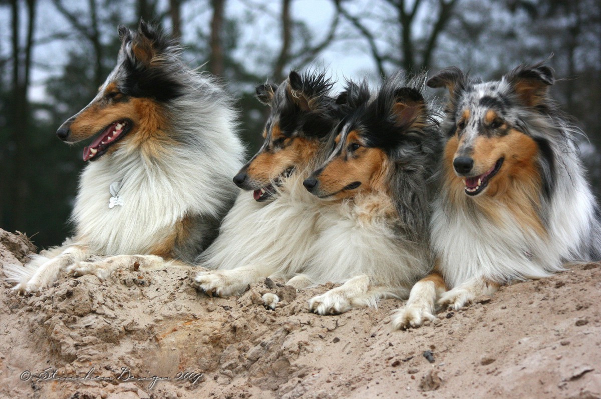 Aminah and Freunde am See...