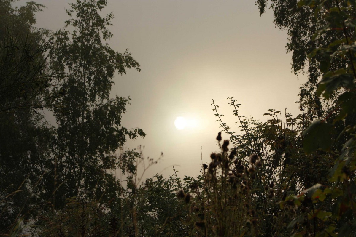 Ein Morgen an der Obernautalsperre