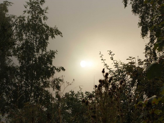 Ein Morgen an der Obernautalsperre