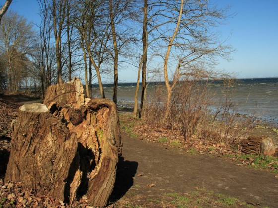 08 Ostsee 2009