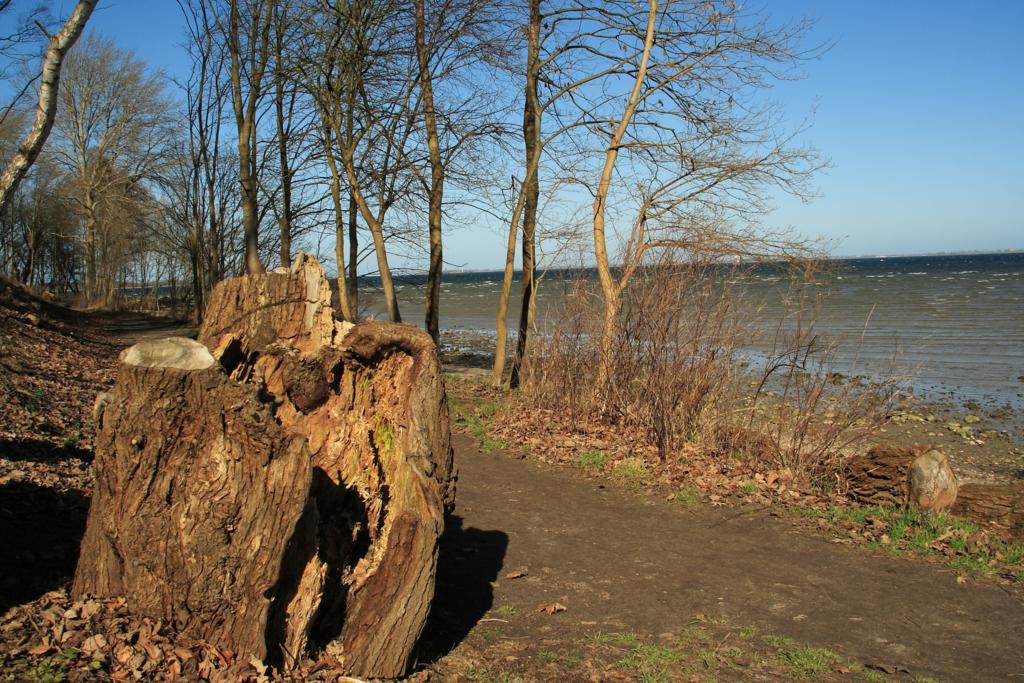 08 Ostsee 2009